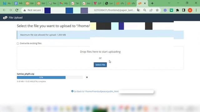 Lumise Tutorial | Lumise PHP version update instructions смотреть онлайн