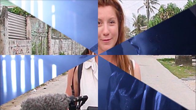 Milioner Brutalno Raskomadao Atraktivnu Švedsku Novinarku смотреть онлайн