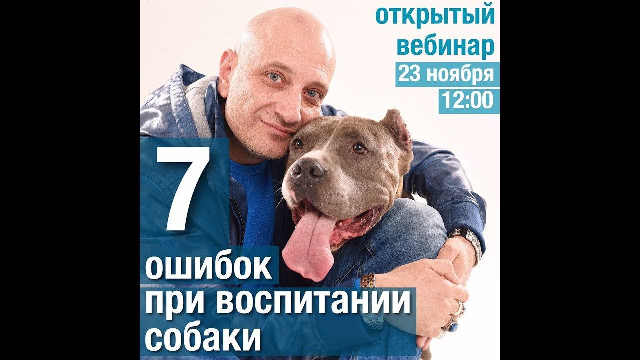 7 ошибок владельцев собак (Антуан Наджарян) смотреть онлайн