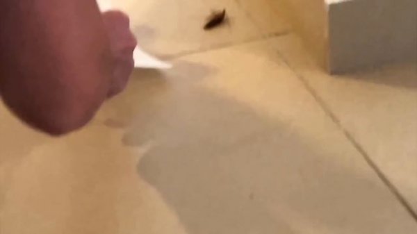 ТАРАКАНЬЯ ВИЛЛА - САМАЯ УЖАСНАЯ НА КИПРЕ - ХАУС ТУР | Elli Di