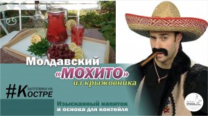 Мохито из крыжовника на зиму - молдавский вариант- на костре! Холодный напиток и основа для коктейля
