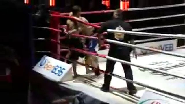 Ulich vs Pestrak GRODNO 2012 смотреть онлайн