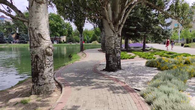 Цвіте лаванда в Гагарінському парку смотреть онлайн