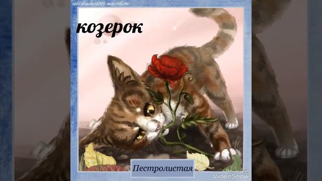 Коты воители по знакам зодиака смотреть онлайн