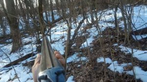 Охота с гончей на лисицу. Выжлец гонял лису на зрячку в десяти метрах.