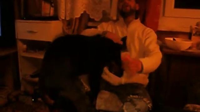U Medvídků 10 смотреть онлайн