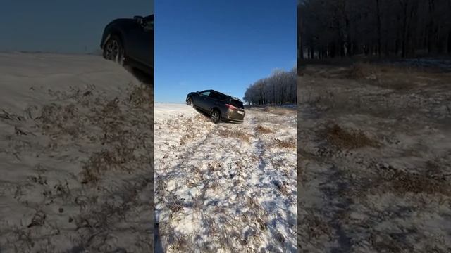 RAV4 2.0 может смотреть онлайн