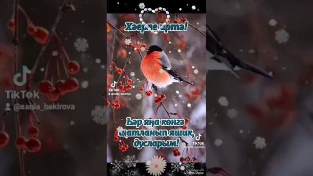 Адаштым смотреть онлайн
