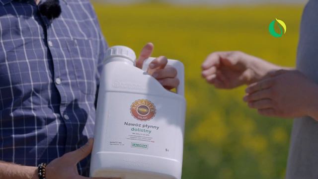 Susza a rzepak. Co możemy zrobić? смотреть онлайн