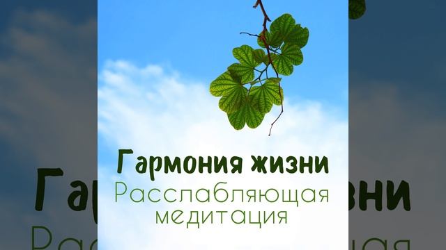 Визуализация энергии смотреть онлайн