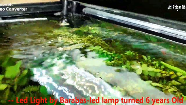 - Led Light by Barabas - seria:1- led lamp turned 6 years old -- 2016 september - 2022 september . смотреть онлайн