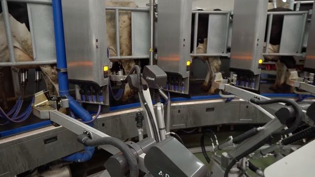 Роботизированные доильные установки: Доильный робот DeLaval AMR. Проект по ключ. смотреть онлайн