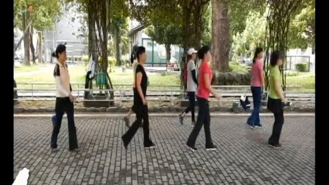 Birds Of Paradise 天堂鳥 - Line Dance ( Tina Chen & Juilin Chen)(23/8/2017) смотреть онлайн