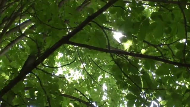 22 05 19 Курчатовское Телевидение смотреть онлайн