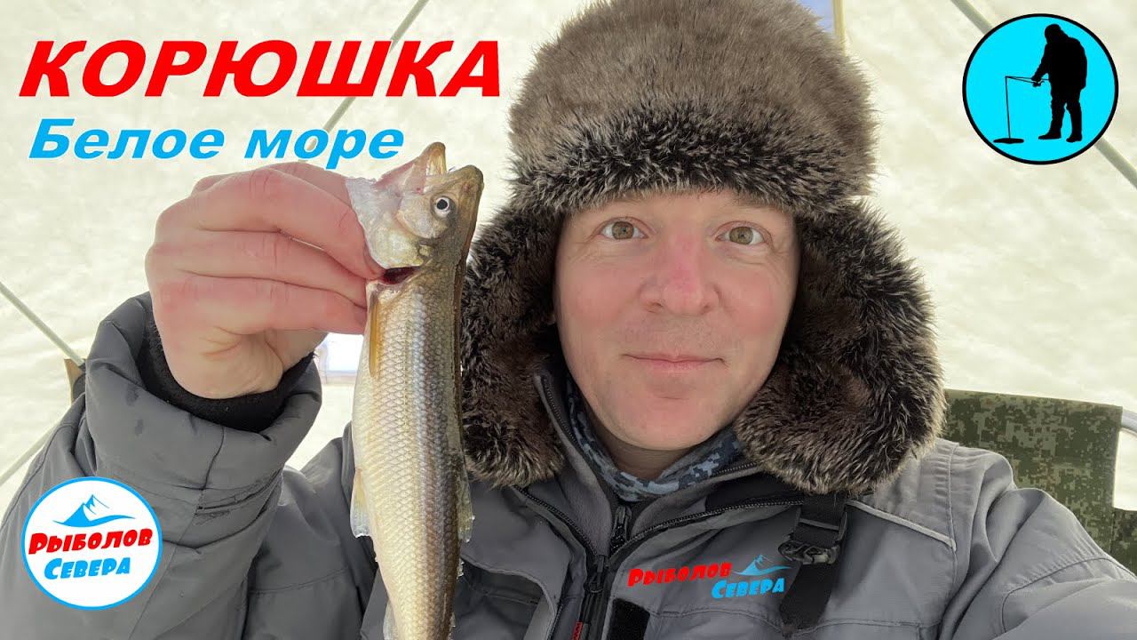 ✅КОРЮШКА НА СУХОМ МОРЕ Март2022 #рыболов_севера смотреть онлайн