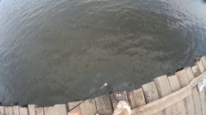 Удачная рыбалка кастинговой сетью Американского типа!!!