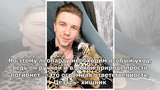 С леопардом, которого он забрал из зоопарка, парень живёт в одной квартире смотреть онлайн