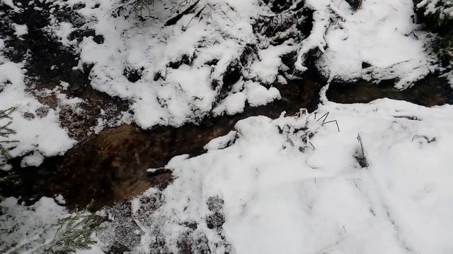 Чаща, ручей, 2 января 2017 [Part1] смотреть онлайн