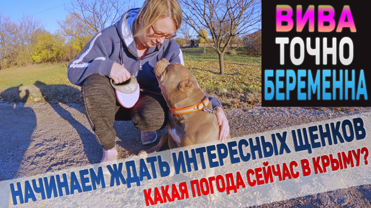 Вива беременна! ПОДТВЕРЖДЕНО! Какая погода сейчас в Крыму? смотреть онлайн