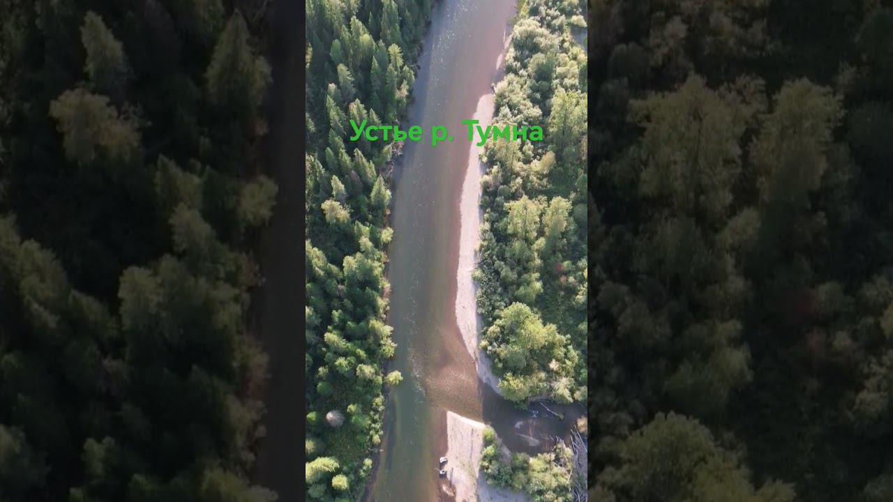 устье р. Тумна смотреть онлайн