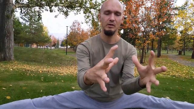 Гибкость пальцев - как развить гибкие пальцы и кисти рук смотреть онлайн