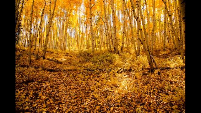 Отговорила роща золотая [песня на стих Есенина] смотреть онлайн