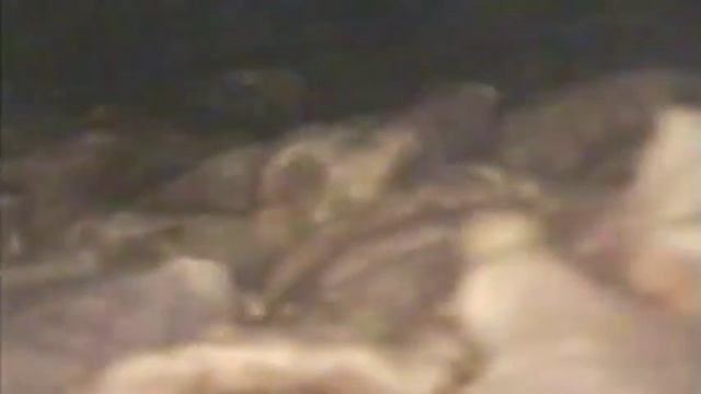 Массажер SCHROEDER массирование индейки смотреть онлайн