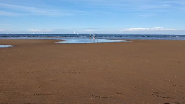 Moncton VLOG | Первый месяц на новом месте! Erika Moisez смотреть онлайн