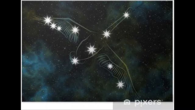 The Swan Song смотреть онлайн