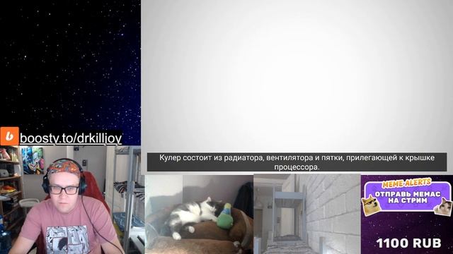 РЕАКЦИЯ НА 4 минуты и ты знаешь как устроен компьютер ОТ @haggon