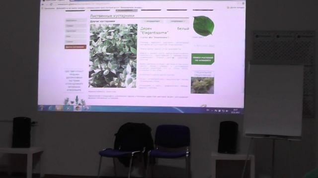Декоративные кустарники Северо-Запада: часть 3 смотреть онлайн