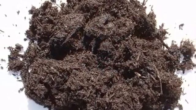 Все на дачу огурцы смотреть онлайн
