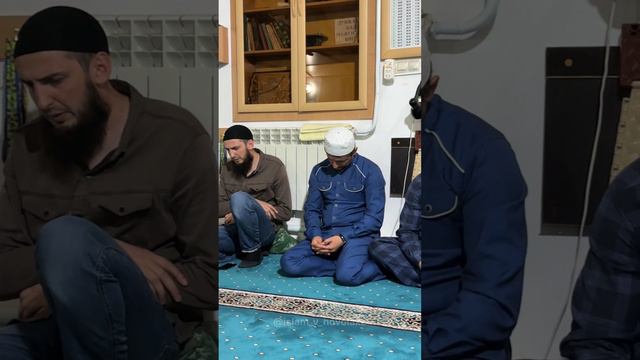 Меджлис мавлид в с. Тухчаре смотреть онлайн