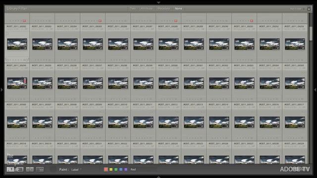 The Painter Tool in Lightroom смотреть онлайн