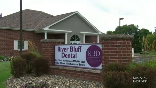 The Tragic Story Of Cecil The Lion