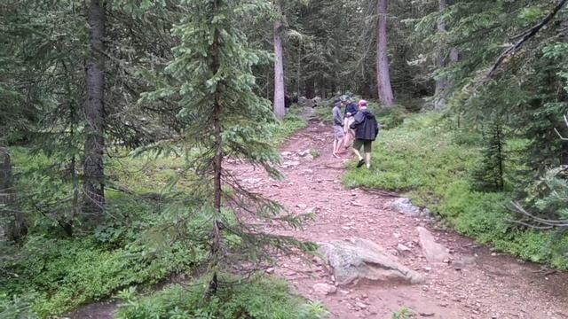 по грибы смотреть онлайн