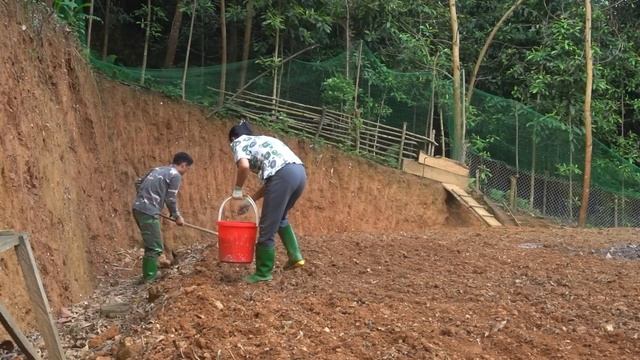 This is how we sow seeds, grow food in livestock, farm life, Day 181 смотреть онлайн