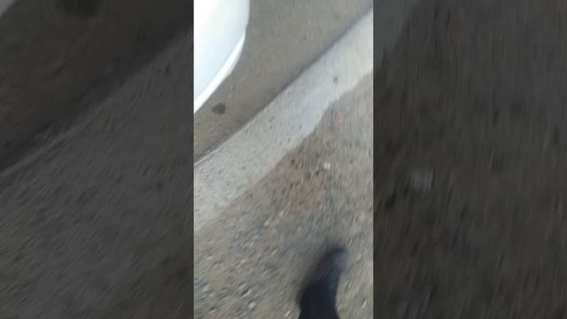 Хонда Одиссей 2 поколение 2.3 обьем смотреть онлайн