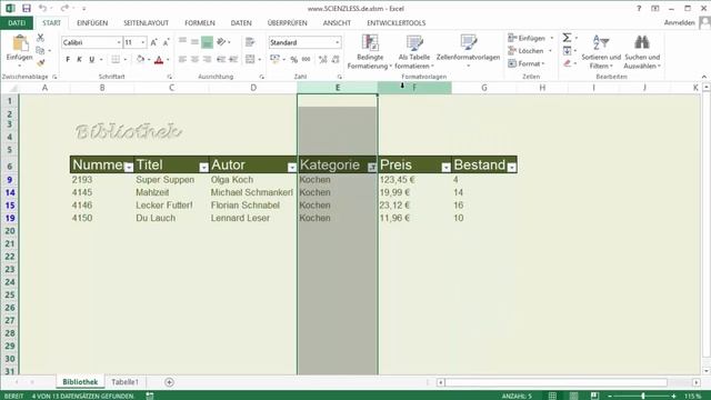 EXCEL VBA Fortgeschrittene #5 - TabellenInformationen filtern und kopieren (AutoFilter) смотреть онлайн