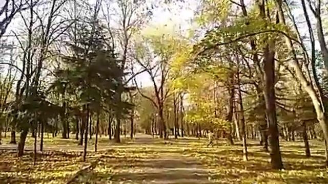 Прогулка в парке. Покупки. смотреть онлайн