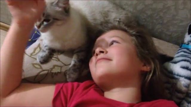 День 24 и 25. Танцы, кошка и форум. смотреть онлайн