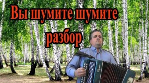 Вы шумите шумите на до мною березы // разбор на гармони