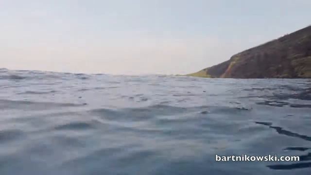 КРАСОТА СПАСЕТ МИР. ДЕЛЬФИНЫ смотреть онлайн