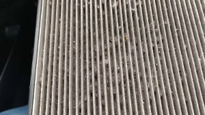 Сколько ходит салонный фильтр? Когда менять салонный фильтр? (Состояние за 10000 километров пробега