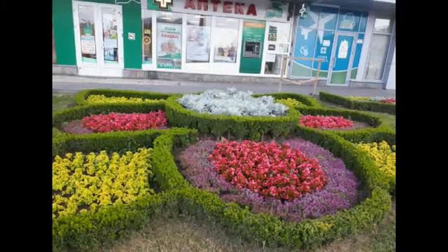 «Городские цветы» смотреть онлайн