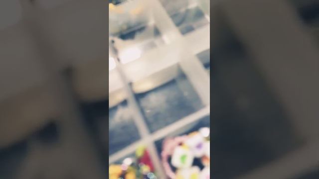 15 апреля 2023 г. смотреть онлайн