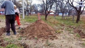 Как сохранить картошку свежей без погреба? Личный опыт.