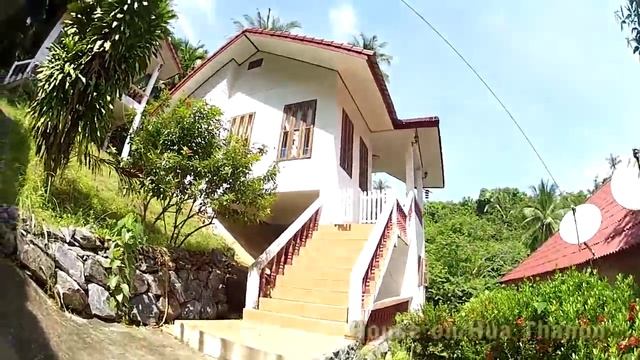 Как снять байки в Таиланде смотреть онлайн