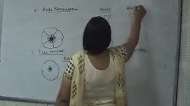 +1 Biology,25 08 13,Morphology Of Flower Part 3 смотреть онлайн