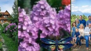 Дмитрий Прянов - Флоксы.